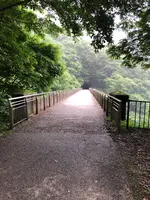 めがね橋の写真・動画_image_612874