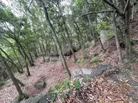 天狗岩丁場の写真・動画_image_613136