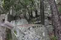天狗岩丁場の写真・動画_image_613140