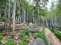 天狗岩丁場の写真・動画_image_613150
