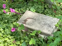 プレールの写真・動画_image_613416