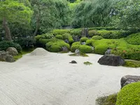明月院（あじさい寺）の写真・動画_image_614314