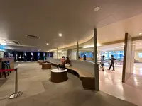 渋谷卓球倶楽部の写真・動画_image_614546