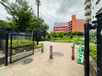 神宮通公園の写真・動画_image_615529