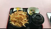 レストイン欅の写真・動画_image_615643