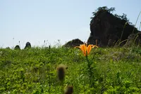 藻浦崎公園の写真・動画_image_616024