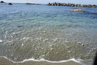 藻浦崎公園の写真・動画_image_616025