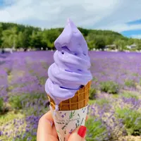 ファーム富田の写真・動画_image_616038