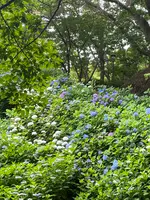 神戸布引ハーブ園の写真・動画_image_616180