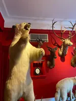 ベンの家の写真・動画_image_616185