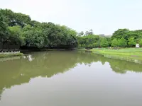 原住民文化主題公園の写真・動画_image_616440