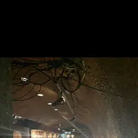 COFFEE HALL くぐつ草の写真・動画_image_617486