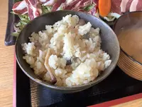 小淵沢 八ヶ岳小僧の写真・動画_image_617934