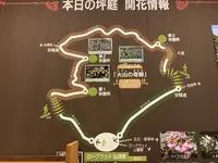 北八ヶ岳ロープウェイの写真・動画_image_617941