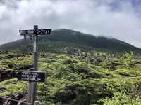 北八ヶ岳ロープウェイの写真・動画_image_617944