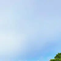 八幡坂の写真・動画_image_617974