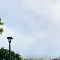 八幡坂の写真・動画_image_617975