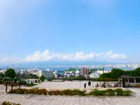 八幡坂の写真・動画_image_617976