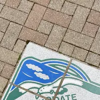 八幡坂の写真・動画_image_617977