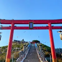 蕪島ウミネコ繁殖地の写真・動画_image_618189