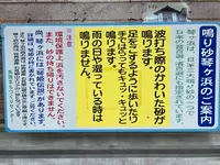 琴ケ浜海水浴場の写真・動画_image_618211