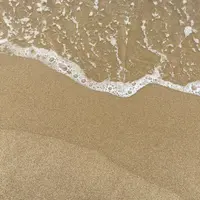 琴ケ浜海水浴場の写真・動画_image_618212