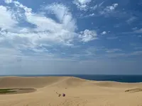 鳥取砂丘の写真・動画_image_618249