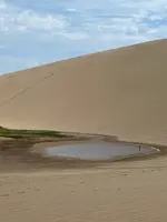 鳥取砂丘の写真・動画_image_618254