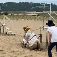 らくだやの写真・動画_image_618257