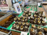 道の駅 ふかうら かそせいか焼き村の写真・動画_image_618391