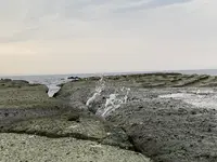 千畳敷の写真・動画_image_618393