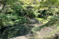 鶴岡八幡宮の写真・動画_image_618722