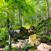 稲子湯唐沢橋 登山口の写真・動画_image_619339