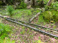 稲子湯唐沢橋 登山口の写真・動画_image_619342
