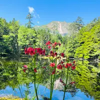 みどり池の写真・動画_image_619345