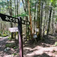 みどり池の写真・動画_image_619346