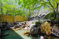 ロイヤルホテル八ヶ岳の写真・動画_image_619388