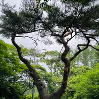 ロイヤルホテル八ヶ岳の写真・動画_image_619400