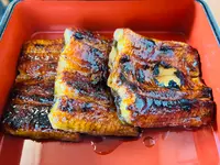 うなぎ松倉の写真・動画_image_619401