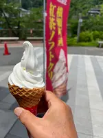 道の駅 果樹公園あしがくぼの写真・動画_image_619825