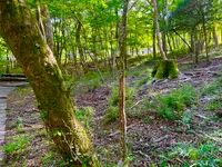 ポーラ美術館の写真・動画_image_620601