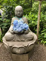 明月院（あじさい寺）の写真・動画_image_620611