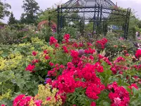 えこりん村の写真・動画_image_621431
