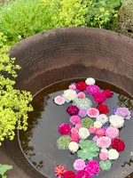 えこりん村の写真・動画_image_621433