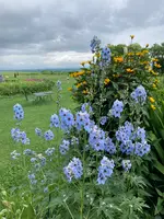 レークヒル・ファームの写真・動画_image_621436