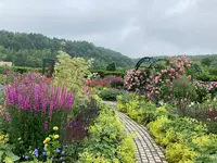 銀河庭園の写真・動画_image_621438