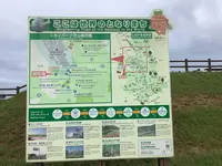 ひこうきの丘の写真・動画_image_621795
