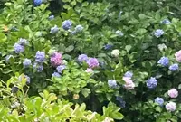 徳明園の写真・動画_image_621871