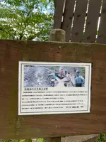 岳温泉 桜坂の写真・動画_image_622148