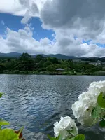 鏡ヶ池公園の写真・動画_image_622153